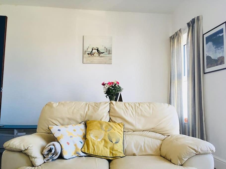 Hillcrest Cottage, Comfy Flat, Trendy Uplands Area Swansea Ngoại thất bức ảnh
